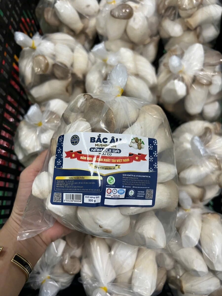 Nấm đùi gà - Ảnh 2