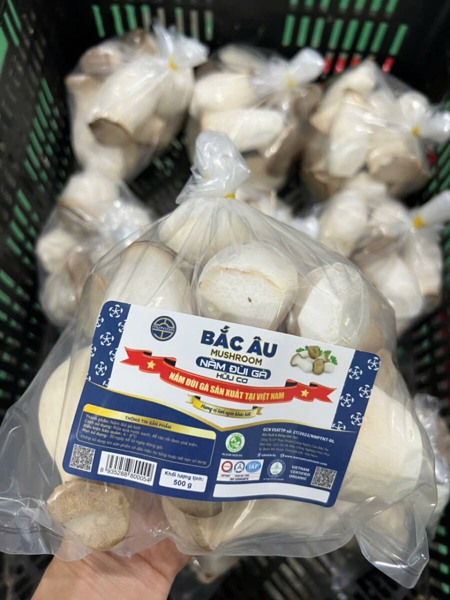 Nấm đùi gà - Ảnh 8